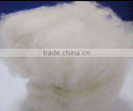 Dehaired Goatswool Cashmere