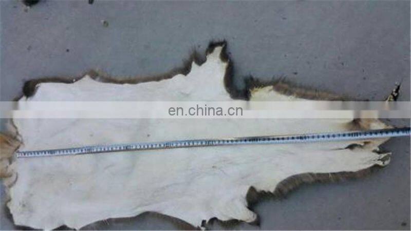 Raccoon Fur Skin /Fur Skin / Real Raccoon Material Fur Skin for Garment Fur Plates
