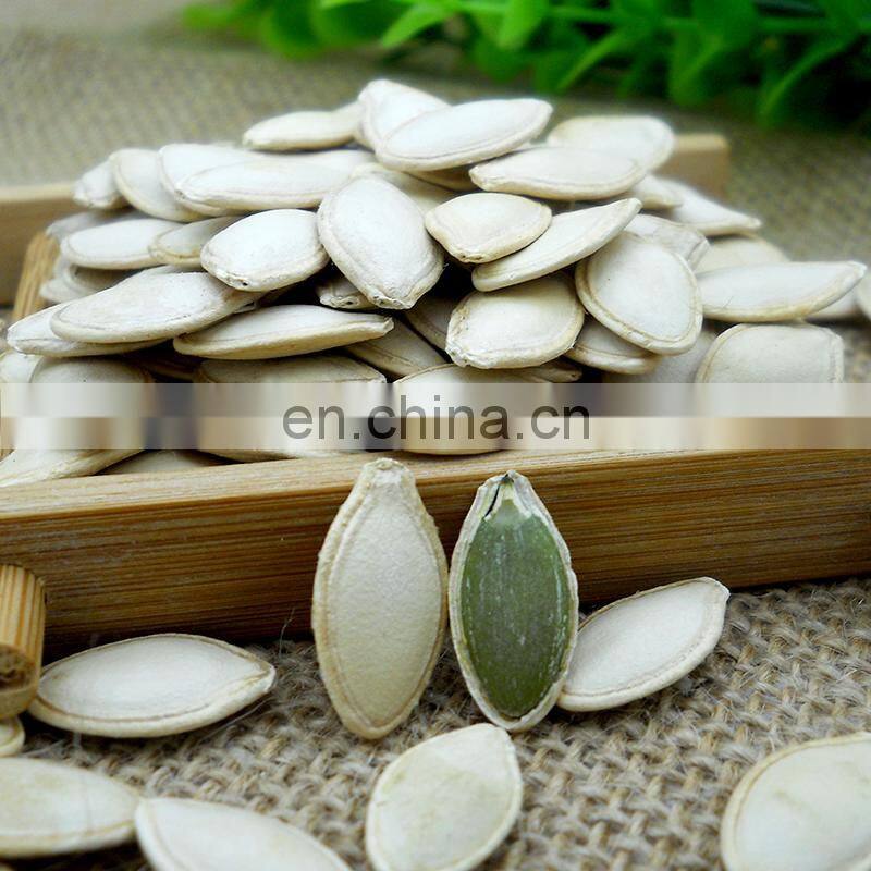 sunflower seed 361 china bigs sunflower seeds bulk