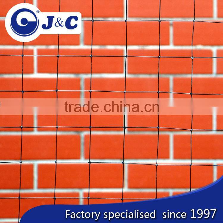 anti Bird protection netting use for vineyard, anti Bird protection net,PE anti bird netting