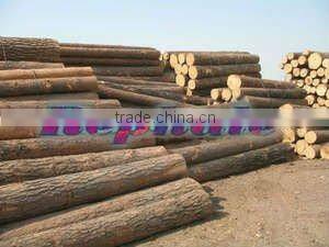 Hot Sale Wood Splitting Machine