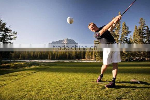 2015 new design European collection fancy golf shoes with removable cleats spike multi-color leather EUC