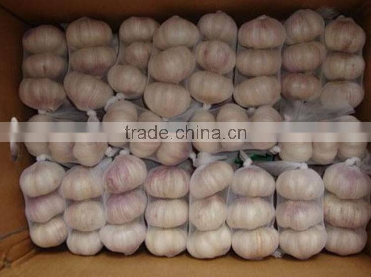 China Red Garlic Price Store Garlic