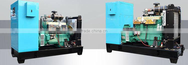 High quality 50kw Liquefied Petrol Gas Generator