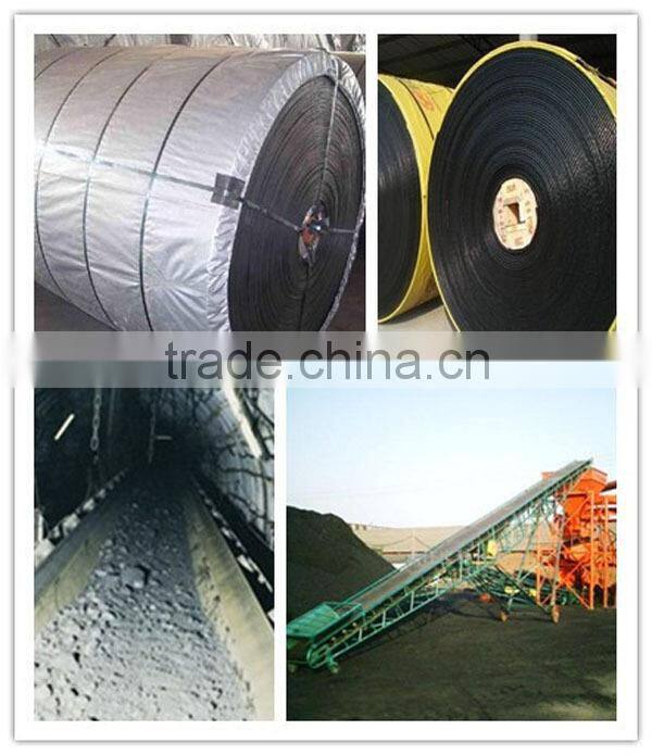 Chemical resistant conveyor belt