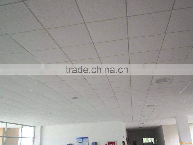 beautiful roof panel