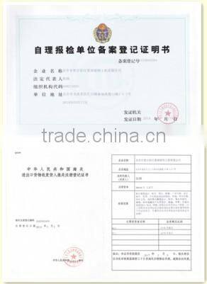 Animatronic t-rex BBC dinosaur costume