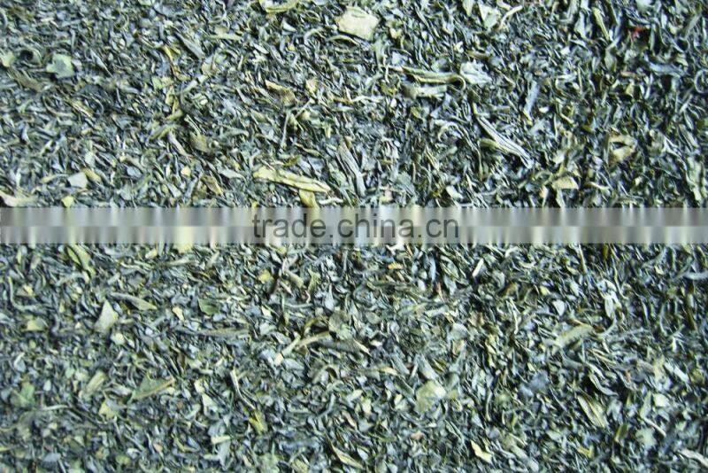 Manufacturer supplys Natural Green tea fngs organic broken tea