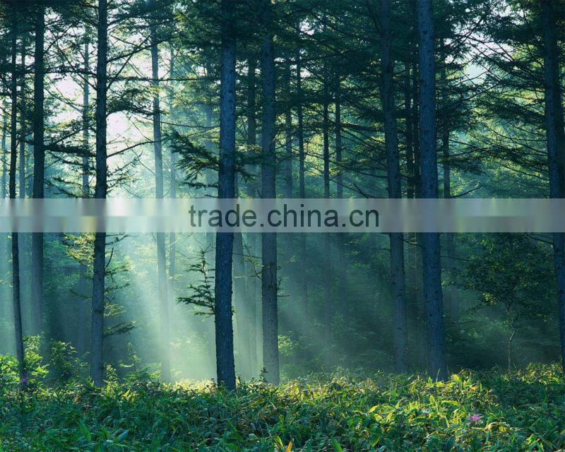 hot press HDF melamine door skin