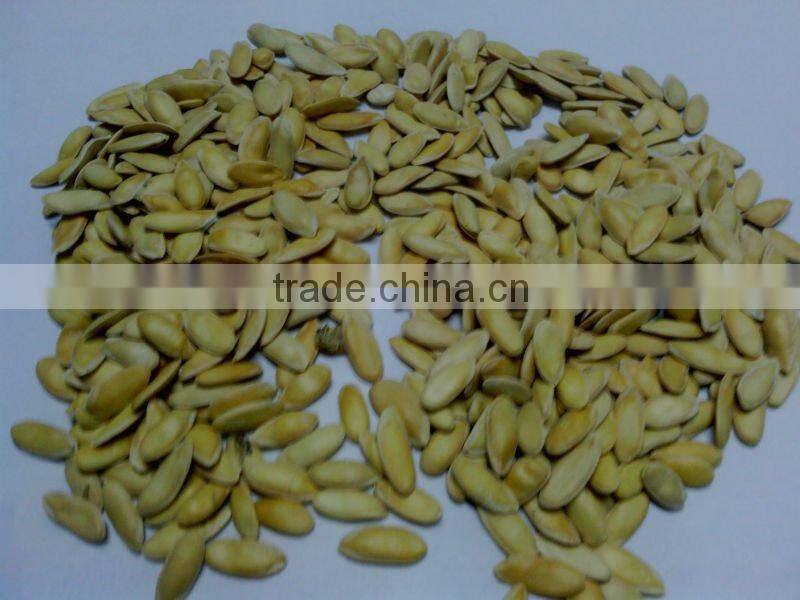 melon seed for planting