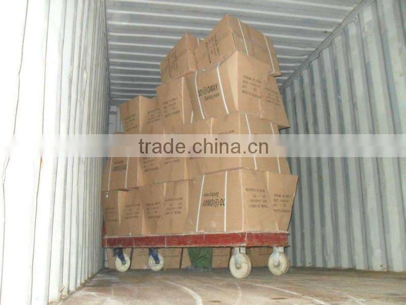 Sanitary Ware Ceramic Bidet shattaf DF0025