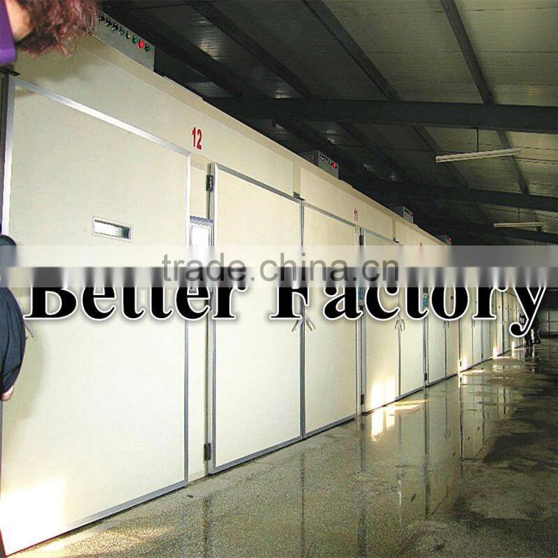 BT Factory high quality commercial auto cleaning systerm for poultry farm (welcome to my factory)
