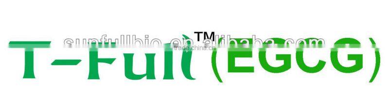 Nature Green Tea Extract EGCG 95%