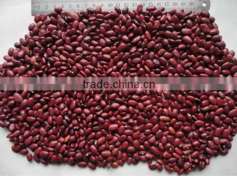 2015 Dark Red Kidney Bean