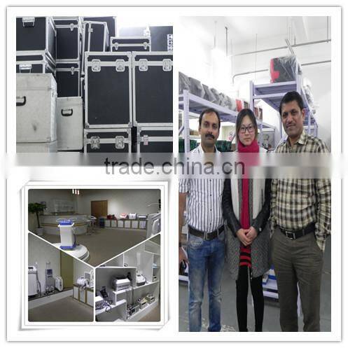 Portable Q Switch Nd YAG Laser/Nd:Yag Laser/Tattoo Machine