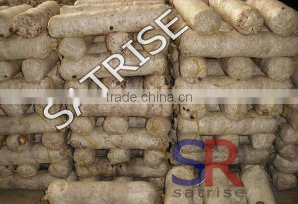 Hot sale from China professional manufacturer shiitake mushroom log