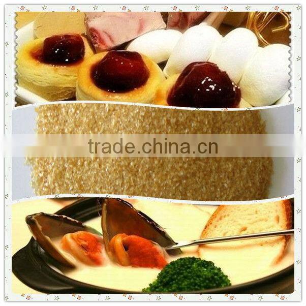 ice cream ingredients ingredients of gelatin