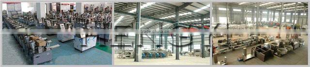 2015New product/cheap price/18 months warranty automatic pelmeni machine