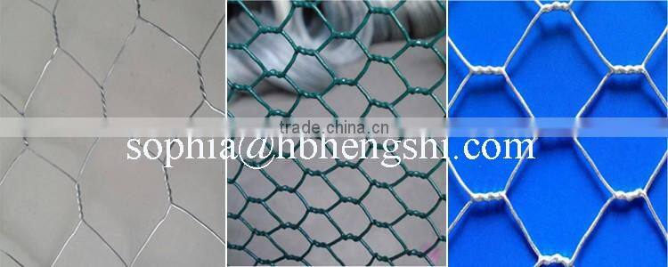 PVC coated Chicken Wire Mesh (Hexagonal Wire Netting)
