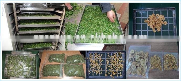 Efficient hot air spice drying machine for spice processing industry