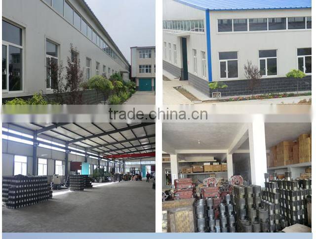 Hight quality spare parts FL1011F 0417 8968 oil pump