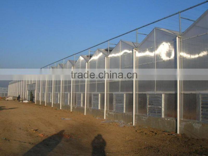 PC sheets supplier!!PC sheets/ polycarbonate sheet/transparent PC sheets for greenhouse cover