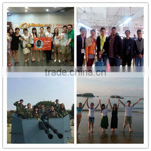 hot sale womens shorts