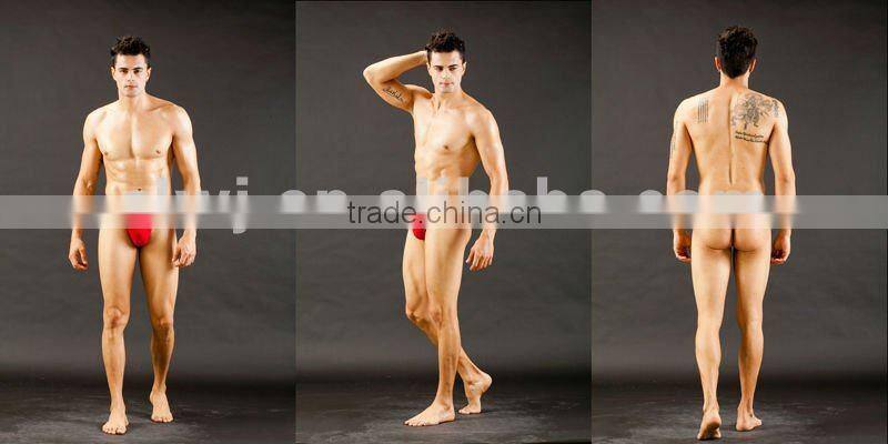 wholesale Transparent man's underwear mens nylon briefs sexy panties for man