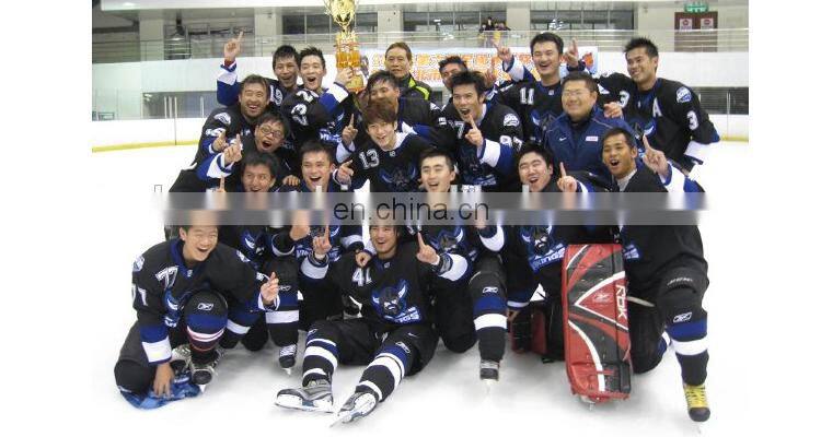 Embroidered Custom Name/Number Detroit Red Wings Team Hockey Uniform