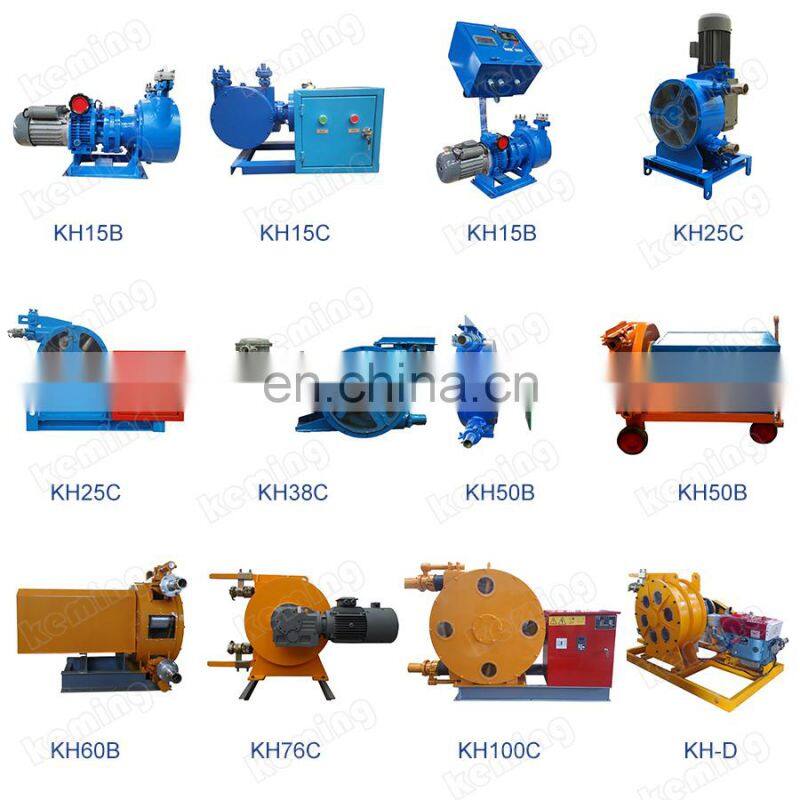 Cycloid Pinwheel Reducer Industrial Peristaltic Pump Keming