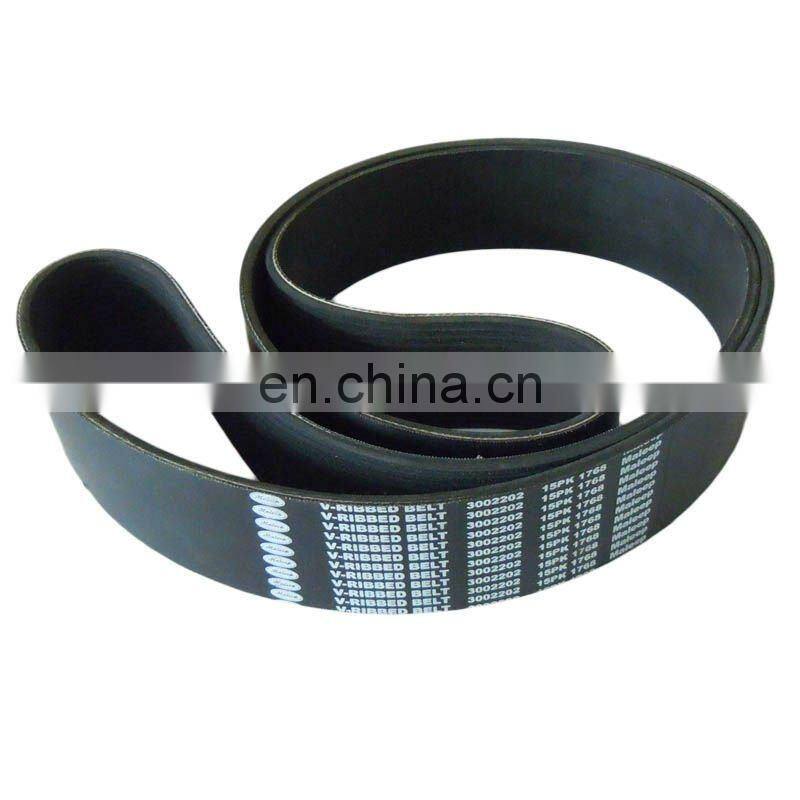 Cummins diesel fan belt 3002202