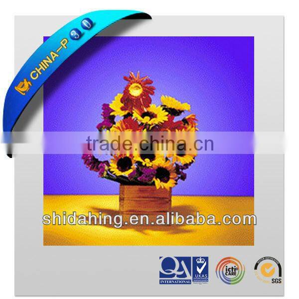High-Def Beautiful 3D chrysanthemum fresh flower frame