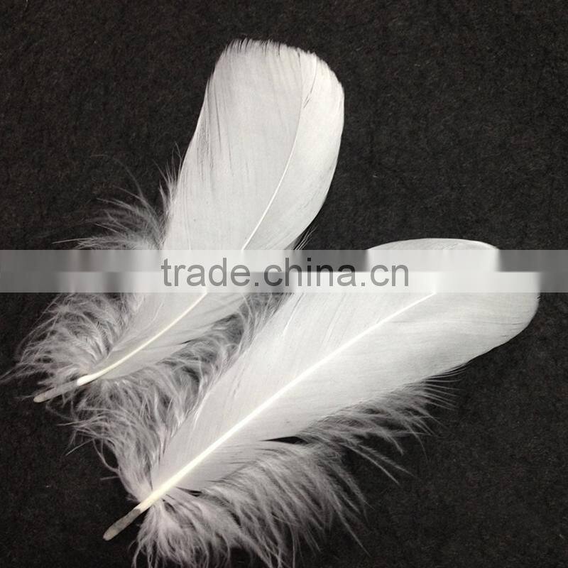 wholesale feather suppliers dyed black Goose feather trim