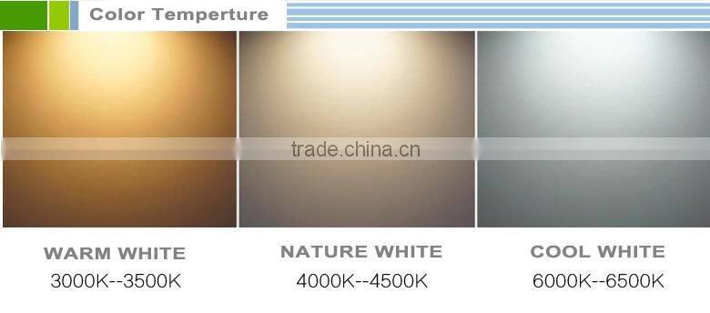 Jewellery Shop Small COB LED Spot Light