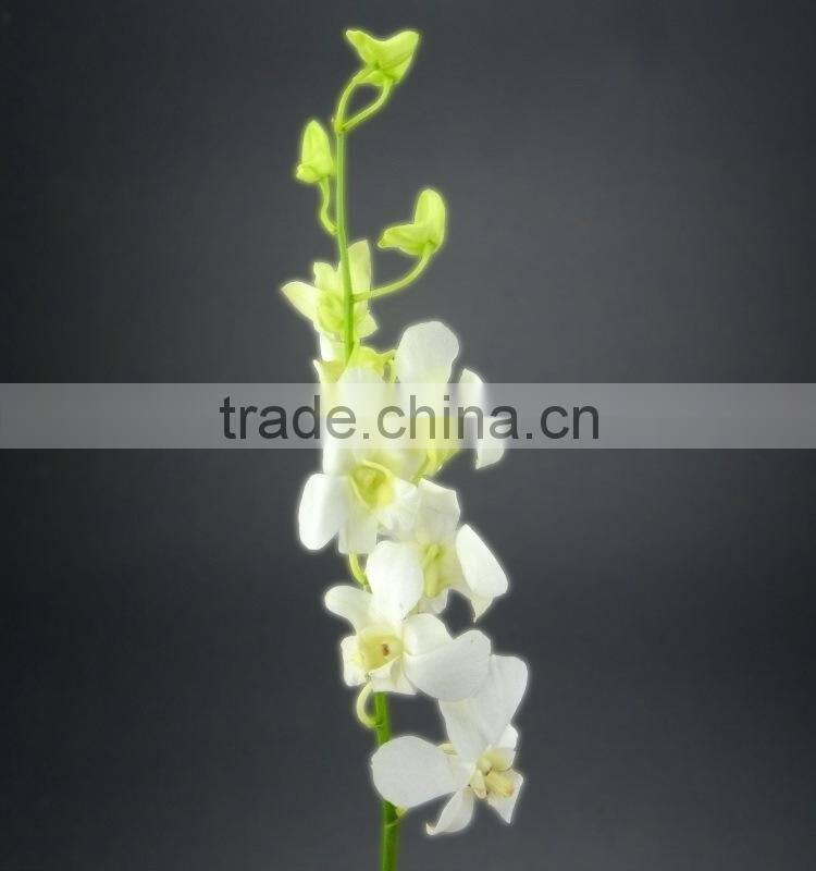 Gift classical decor flower orchid white