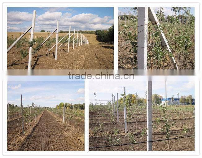 Precast concrete Beam Joist machine,. T Joist, T beam Molding