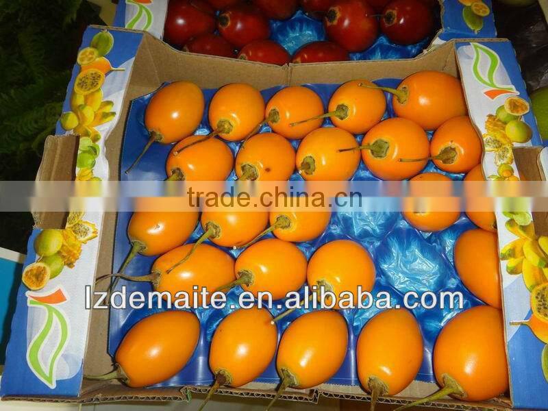 Plastic Insert For Food