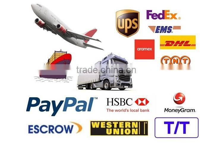 Bluetooth ANT+ Bike Cadence Sensor Bicycle Speed Cadence Sensor