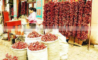 Dehydrated Crushed Chilli dehydrated vegetables