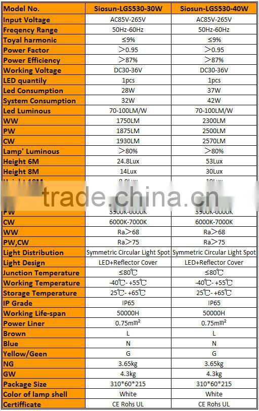 New Product 40W Citizen COB LED Street Lamp