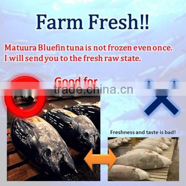 It would be very delicious and make a dried fish in Matuura bluefin tuna.