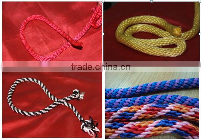 TS Series High Speed pet ropes Solid Rope Braider TSCD-18-1
