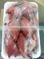 Organic fresh Zalacca fruit