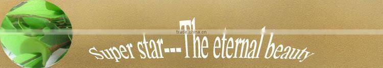 Cheap Artificial Foam Orange Money Tree plant