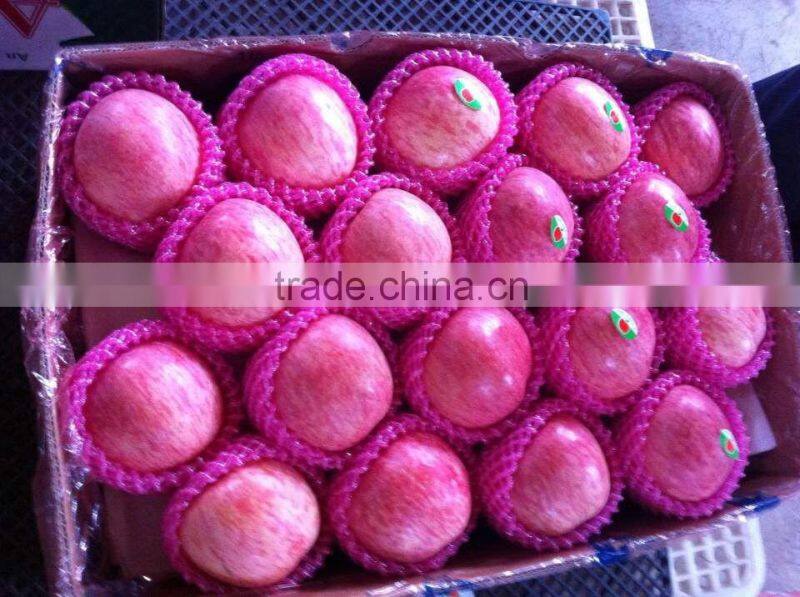 mature natural red apple wholesale fuji apple china with fresh apple price