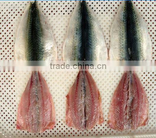 mackerel fillet iqf
