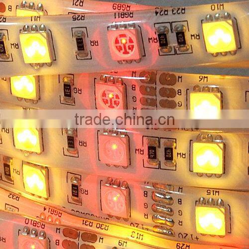 color changeable 60leds/m 72leds/m waterproof IP65 IP68 SMD 5050 flexible RGB led strip with white