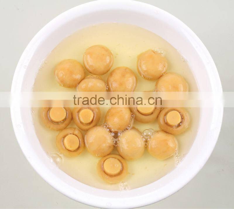canned mushroom whole