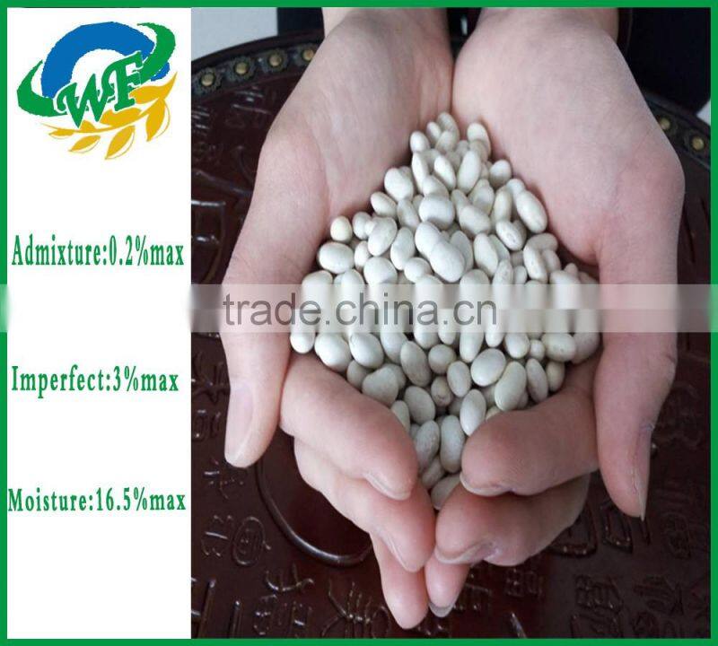 Chinese White Kidney Beans (japanese type)