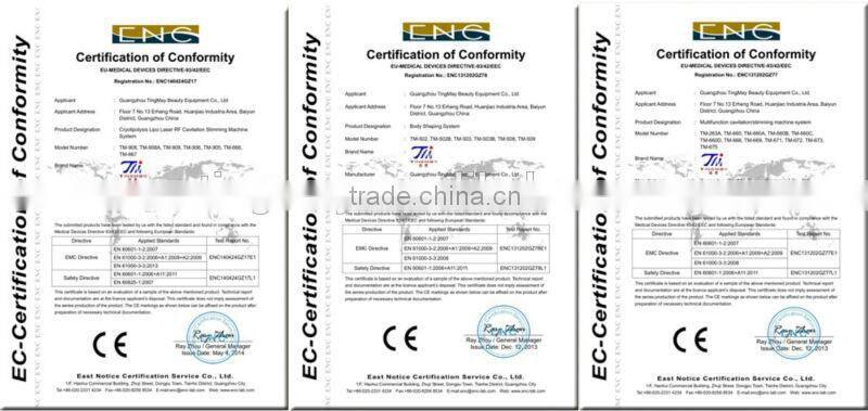 Professional body fat melting machine vacuum cryolipolysis machine price TM-908